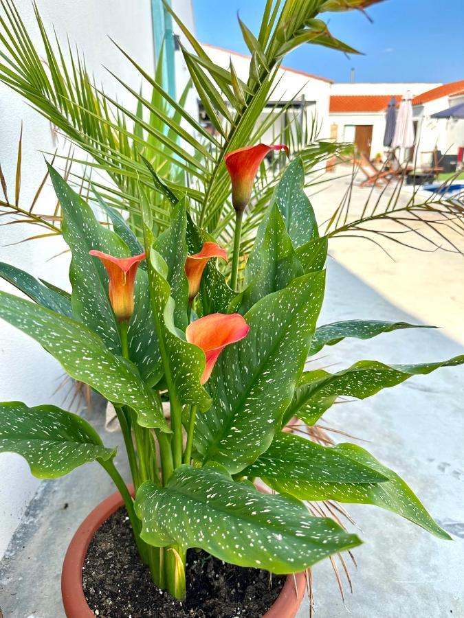 Alojamiento El Miajon De Los Castuos Valdesalor Exterior foto